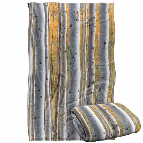 JQ Licensing James Piazza Birch Trees Silky Touch Super Soft Fleece Throw Blanket, Multicolour, W: 91 cm, D: 147 cm – 1