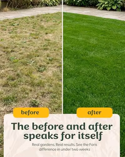 Foris Fast Growing Lawn Seed 1.4kg for Overseeding and Lawn Repair – 8