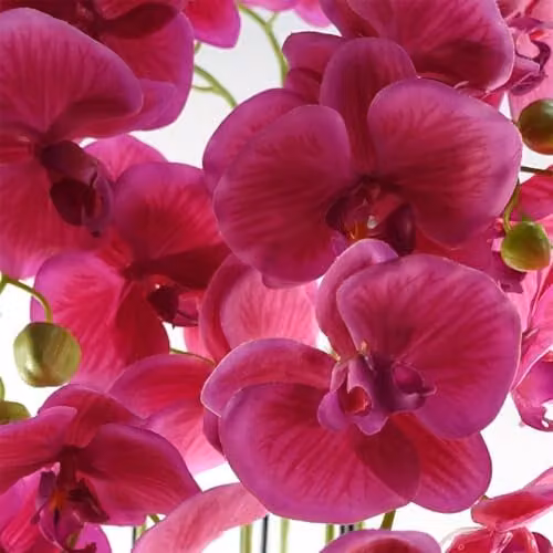 Botanik Pink Realistic Artificial Potted Orchid Plant, H 110 cm x W 40 cm x D 40 cm – 2