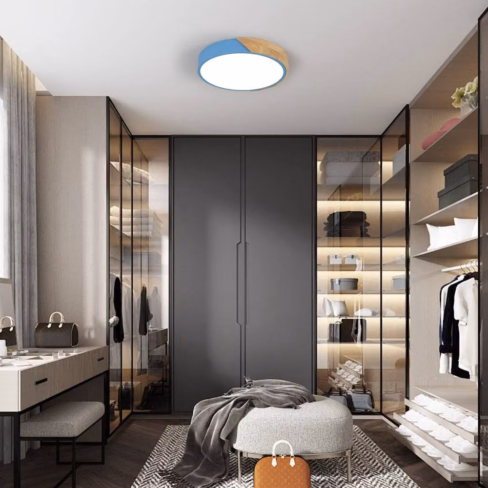 Pheashine Blue Acrylic Round Flush Mount Ceiling Light, 24W, 6500K Cool White, Diameter: 30 cm – 4