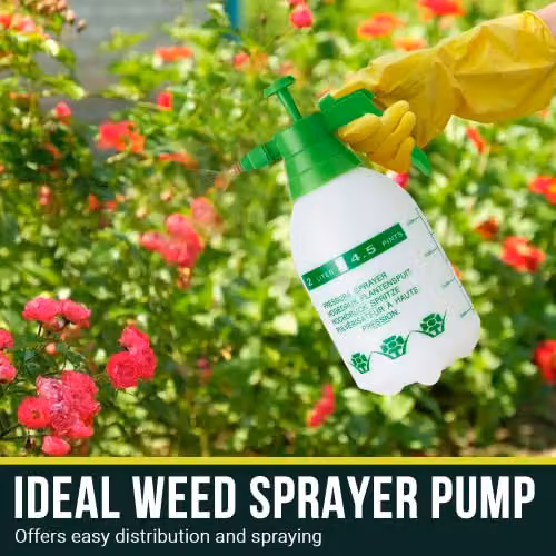 Pelle & Sol Manual Pump Action Pressure Sprayer in Green and Multicolour, 2 L – 5