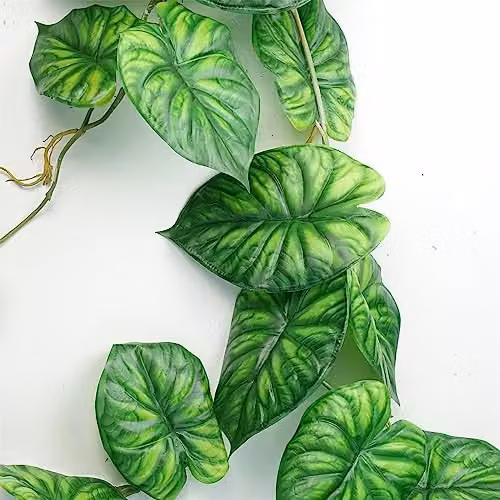 Leaf UK Alocasia Dragon Scale Artificial Trailing Hanging Plant in Green, Length: 120 cm – 2